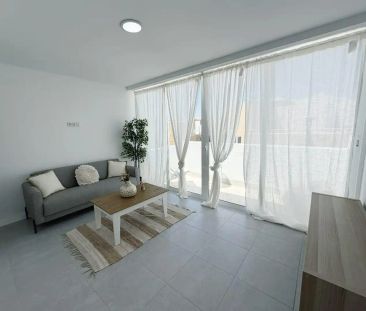 Ingenio - Foto 5