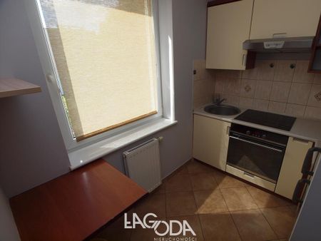 Gorzów Wielkopolski - Zdjęcie 4