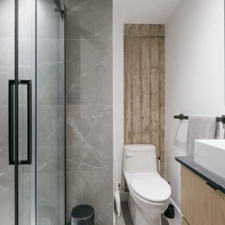 Loft entièrement meublé à louer Saint-Jean-Baptiste juillet 2026 - Photo 3