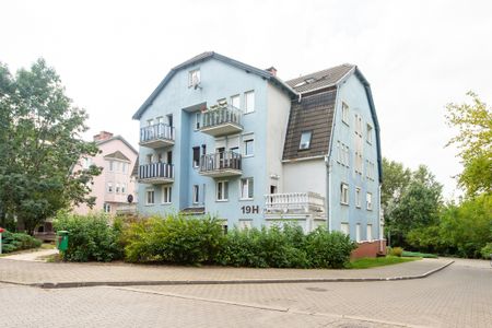 Poznań, ul. św. Rocha - Photo 4