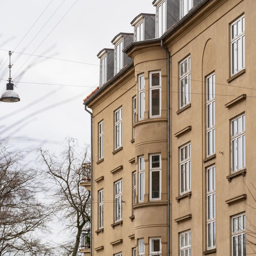 I første parket til Fælledparken - Foto 1