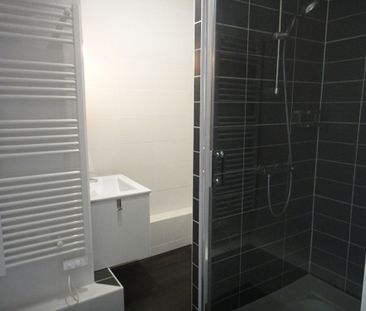 Location Appartement 1 pièce 21m² - Photo 5