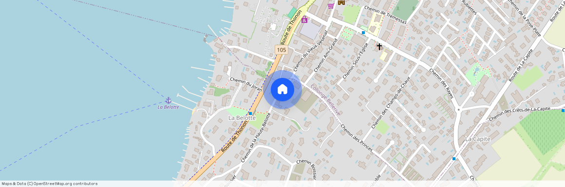 Chemin de la Haute-Belotte 20, 1223 Cologny