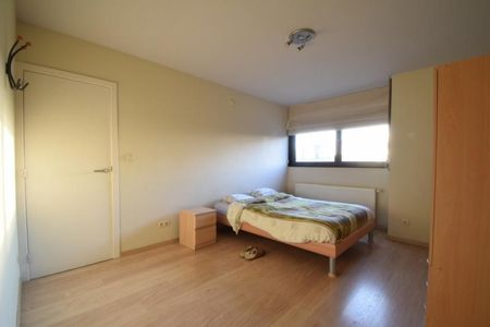 Picavet Vastgoed - Te Huur: Tielen - Appartement - Foto 3
