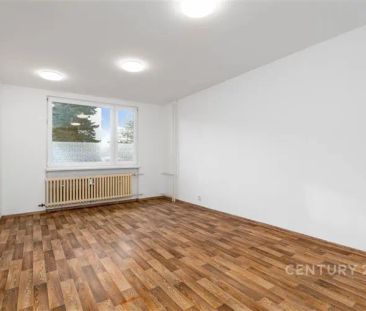 Pronájem bytu 1+1, Děčín - Staré Město - Fotografie 3