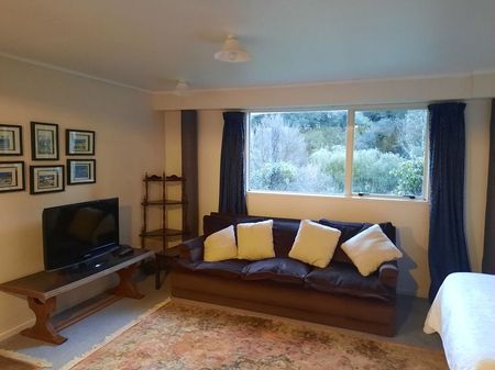 For Rent - Studio Apartment - Raurimu - Photo 4