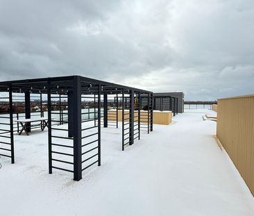 Appartement à louer à Brossard - Photo 2