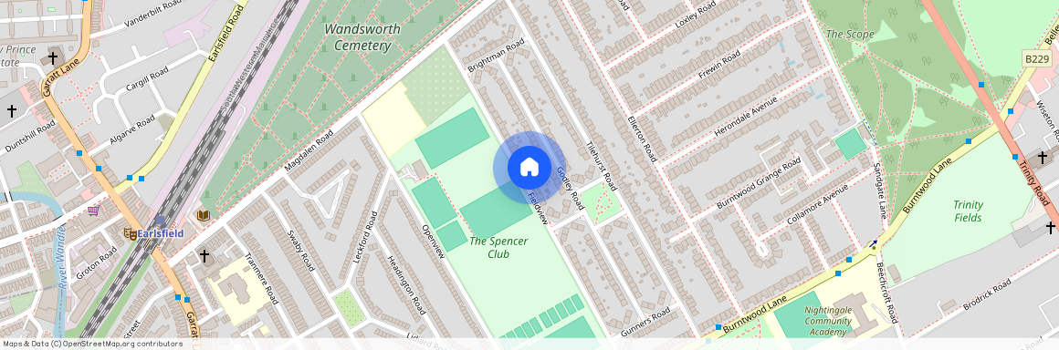 Fieldview, Earlsfield