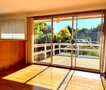 SUNFILLED FAMILY HOME WITHIN MATTHEW PEARCE CATCHMENT - Photo 1