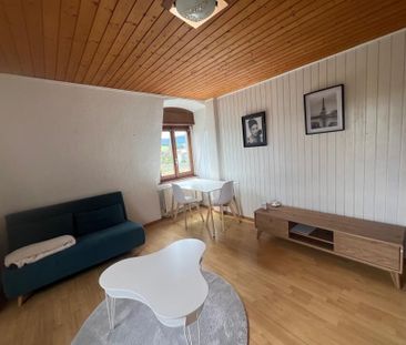 Coquet 2,5 pièces entièrement rénové au dernier étage d'un immeuble... - Foto 5