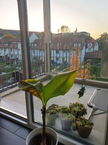 "Ruhige Wohnung in Zürich" - Foto 5