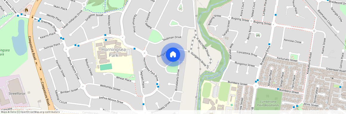 7 Rawson Crescent, NSW 2171, Horningsea Park