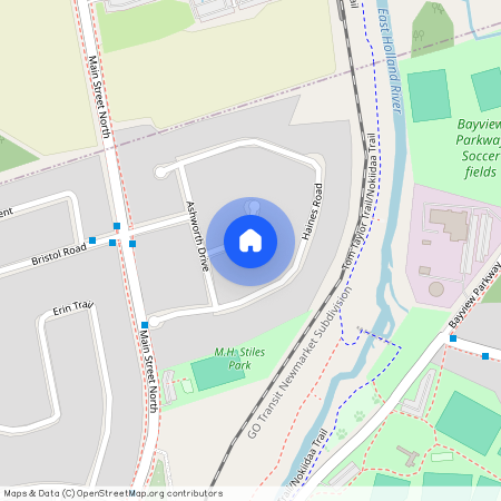 588 Brooks Howard Court Unit# Basement, Newmarket