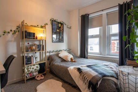 Cosy flat on vibrant Crwys Road - Photo 2