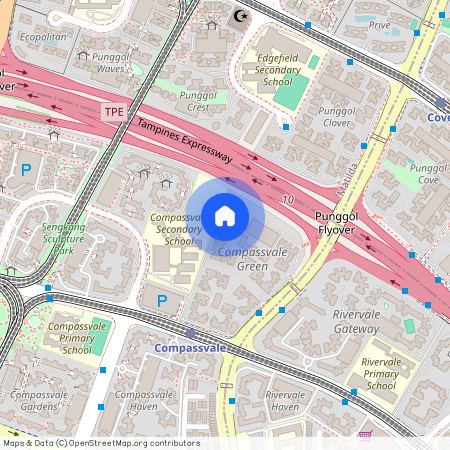 299B Compassvale Street (542299), Singapore