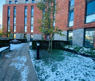 Extra Large High Double Studio - Photo 3