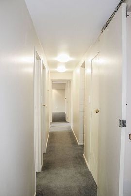 Large bottom floor apartment. 500m to Havelock CBD - Photo 1
