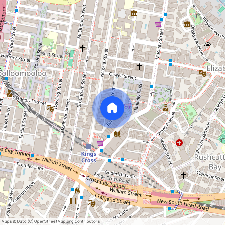 469/15 Springfield Ave, NSW 2011, Potts Point