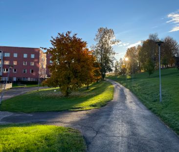 Axvägen 13 - Foto 1