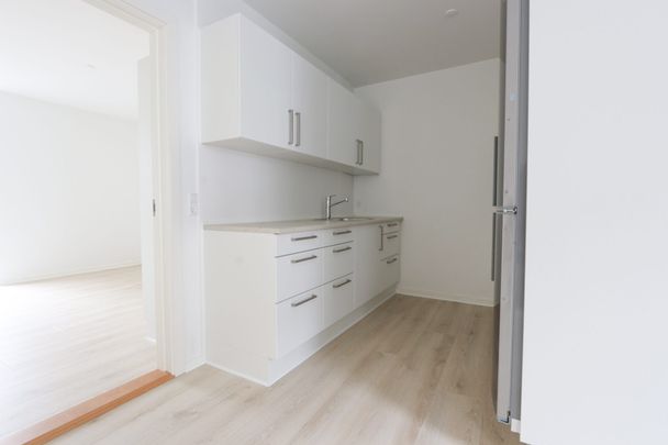 Stor og ny renoveret lejlighed i Vejle - Photo 1