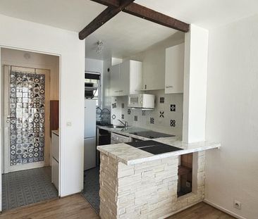 Location Appartement 1 pièce 30m² ST LAURENT DU VAR 06700 - Photo 5