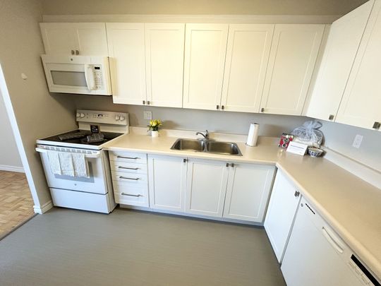 For Lease - 62 Park Avenue Unit# 809, Halton Hills, Ontario - Photo 1