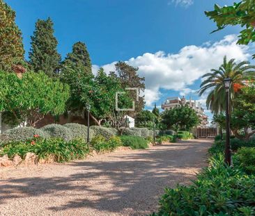 Excellent 5 Bedroom house / villa for rent in Palma de Mallorca, Ba... - Photo 6