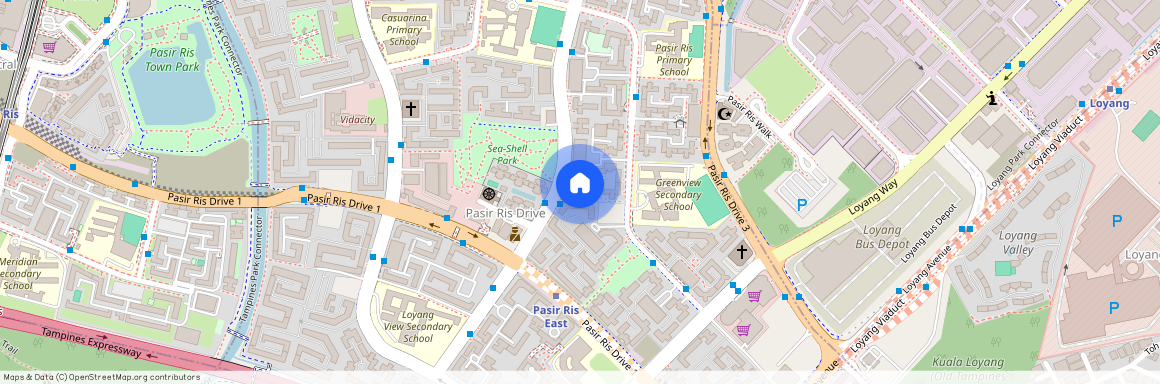 217 Pasir Ris Street 21 (510217), Singapore