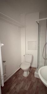 Location Appartement 1 pièce 27m² GRENOBLE 38100 - Photo 3