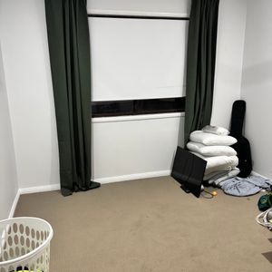 Daisy Hill - Photo 2