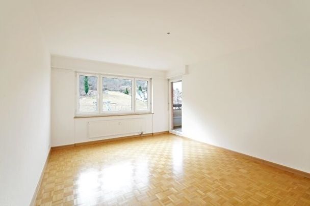 Quiet residential area in Muttenz - Foto 1