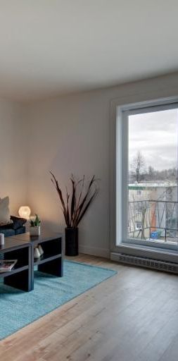 Appartement 3 ½ à louer Limoilou juillet 2026 - Photo 1