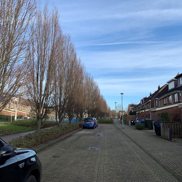 Te huur: Huis Albertje Onosplantsoen in Hoofddorp - Photo 1