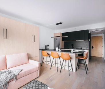 Loft entièrement meublé à louer Saint-Jean-Baptiste septembre 2026 - Photo 1
