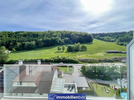 2-Zimmer Traumwohnung über den Dächern von Linz - ab sofort verfügbar - Photo 1