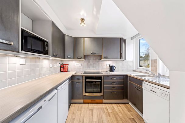 10/14 Gayfield Street - Photo 1