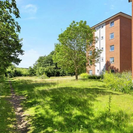 Ansvej, 100 1. v.2, Silkeborg, 8600 - Photo 4