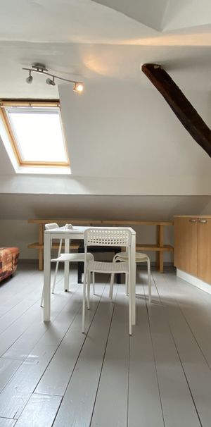 Location Appartement 1 pièce 15m² SAUMUR 49400 - Photo 1