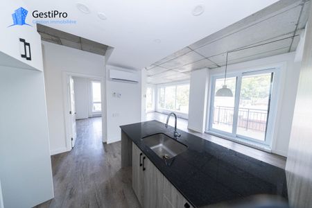 175 St-Vallier Est – Le Gecko - Photo 3