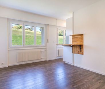 Appartement de 1 pièce entièrement rénové - Photo 6