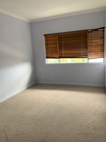 CBD Living with Stunning Harbour Views and Expansive Gardens - Photo 3