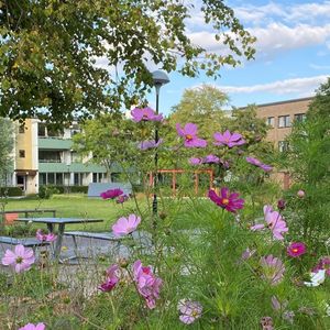 Svansjögatan 35, Bellevuegården - Photo 2