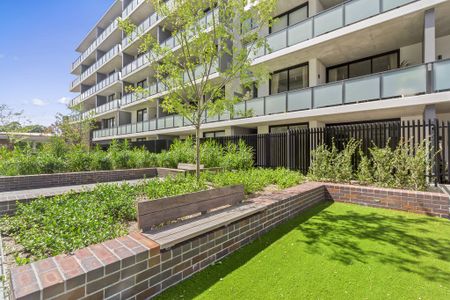 33C/356 George Street, Waterloo NSW 2017 - Apartment For Rent | Domain - Photo 3