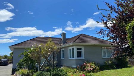 Family Home Close to Richmond Schools - Photo 3