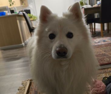 Andrews Farm - Photo 1