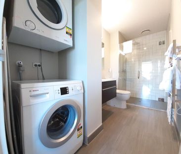 Library Lane Cutie - Photo 3