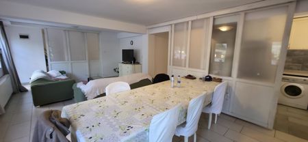 HASDEU RESIDENCE: a cozy apartment for rent in Cluj-Napoca, near the University of Medicine and Pharmacy and the University of Agricultural Sciences and Veterinary Medicine, consisting of a large, bright living-room with kitchen, a large bedroom, two bathrooms and a private garden - Fotografie 3