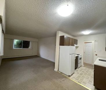 One bedroom in James Bay - Photo 3