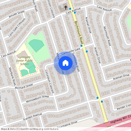 41 Moraine Hill Bsmt. Drive, Toronto