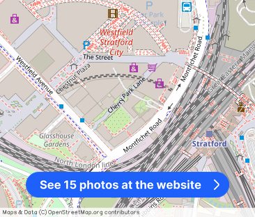 Cherry Park Lane, London, E20 - Photo 1